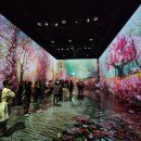 빌리 당구장 | 곤지암 화담숲 가을 단풍 관람 솔직후기~~!! (+곤지암리조트까지)