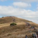 삼례약수 이미지