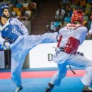 신주례태권도2 이미지