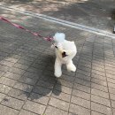 오늘 더 예쁘개 이미지