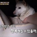 만우농장 이미지