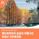 기성중학교 | 대전 대표 가을 힐링 명소! 메타세쿼이아 숲길이 아름다운 장태산 자연휴양림