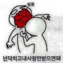 무지개푸드 이미지