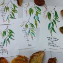 솔잎향기 이미지