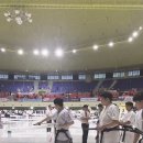 제 14회 세계해동검도대회 (김진식/물체베기) 이미지