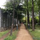 철로변녹지대 이미지