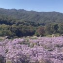 홈당골펜션 이미지