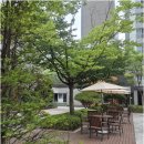마곡중앙부동산중개 | 신중하게 비교하는 분들을 위한 마곡13단지 중심 마곡동 아파트 부동산 고르는 법