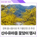 &#34;2025年 제154차 3月 16日 의성 금성산&amp;비로봉 산수유 산행&#34; 이미지