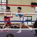 용인대부평복싱 이미지