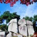 이천종합버스터미널 이미지