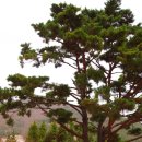 향동초등학교 이미지