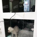 태전동물병원 이미지