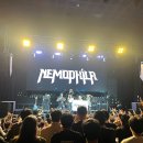 드래곤태권도 | [공연후기] Nemophila - 지옥의 사운드 투어 / 역시나 땀범벅 (2025.10.25) @ 예스24 원더로크홀, 서울