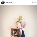 수다하우스 이미지