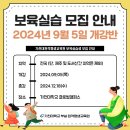 [학점은행제] 통합실습 이미지