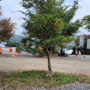 한터팜펜션 | 키즈캠핑장 추천. 한터팜 캠핑장. 최신후기. 명당 이용팁. 예약팁.