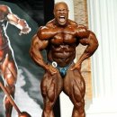 올림피아 이미지