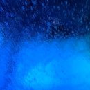 칠암아나고횟집 이미지