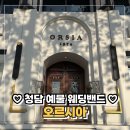 6344 | [#3 예물 웨딩밴드] 청담 오르시아 결혼반지 계약 후기