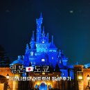 비봉호스릴-7 | 도쿄 디즈니랜드 놀이기구 추천 어트랙션 탑승 후기