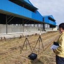 춘포면-12 이미지