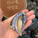홍가네건어물 이미지