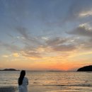 송호파크 이미지