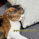 상동전기재료철물 | 산업안전산업기사 실기 독학 DAY1｜2025년도 기출문제 복습 + 암기노트 10개