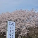 넷상가게 | 속초 중앙시장 맛집 성공 후기 넷이서 간 하성짬뽕순두부