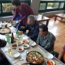 하동편백자연휴양림 이미지