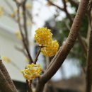 쌈지마당 화장실 이미지