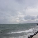 분당-326 이미지