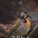 트렌드디자인