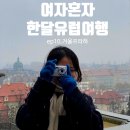 비아이태리 | 혼자유럽여행 트래블비아 세미패키지_10일차│2월 동...날씨 체코 프라하성 시티투어 후기 (feat.퇴사여행)