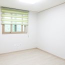 비버리 힐 네이버블로그