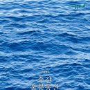 도내2리 마을회관및경로당 | [공지] 📰 25년 5월 4주차 '주간 울릉통신' 제29호 발행
