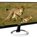 10퍼센트 이미지