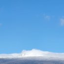 지영 농장 이미지