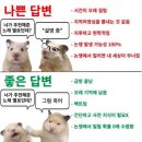 밤톨월드 네이버블로그