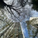 룰루PC방 | 대충 3월과 4월의 절반이에요