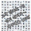 제이앤씨컴퍼니 | 5월13일 창원휴대폰성지시세표[S26구매타이밍]