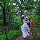 오솔길근린공원 이미지