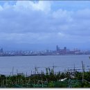 남구-054 이미지