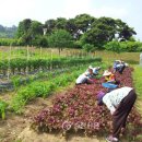 남면사무소 이미지