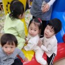 디딤돌어린이집 이미지