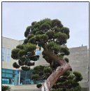 고성 장좌리 캠핑장 | [경남 고성] 바다멍 하기 좋은 '해이준'카페
