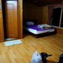 밸리 통나무 빌리지 이미지