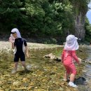사촌리 가로숲 공중화장실 | 대구 근교 계곡 #의성 점곡계곡