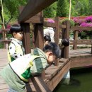 대아수목원 유아숲체험원 이미지